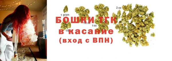 2c-b Горно-Алтайск