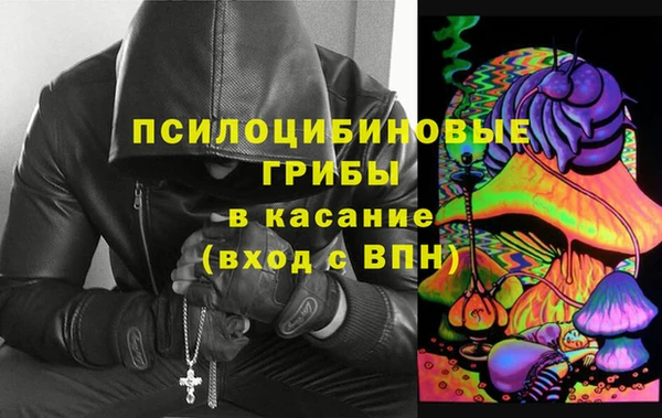 2c-b Горно-Алтайск