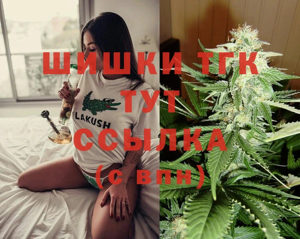 2c-b Горно-Алтайск