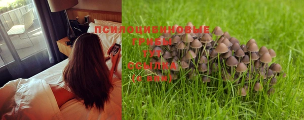 амф Вяземский